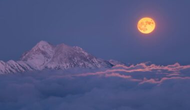 Beeinflusst der Vollmond unseren Schlaf?