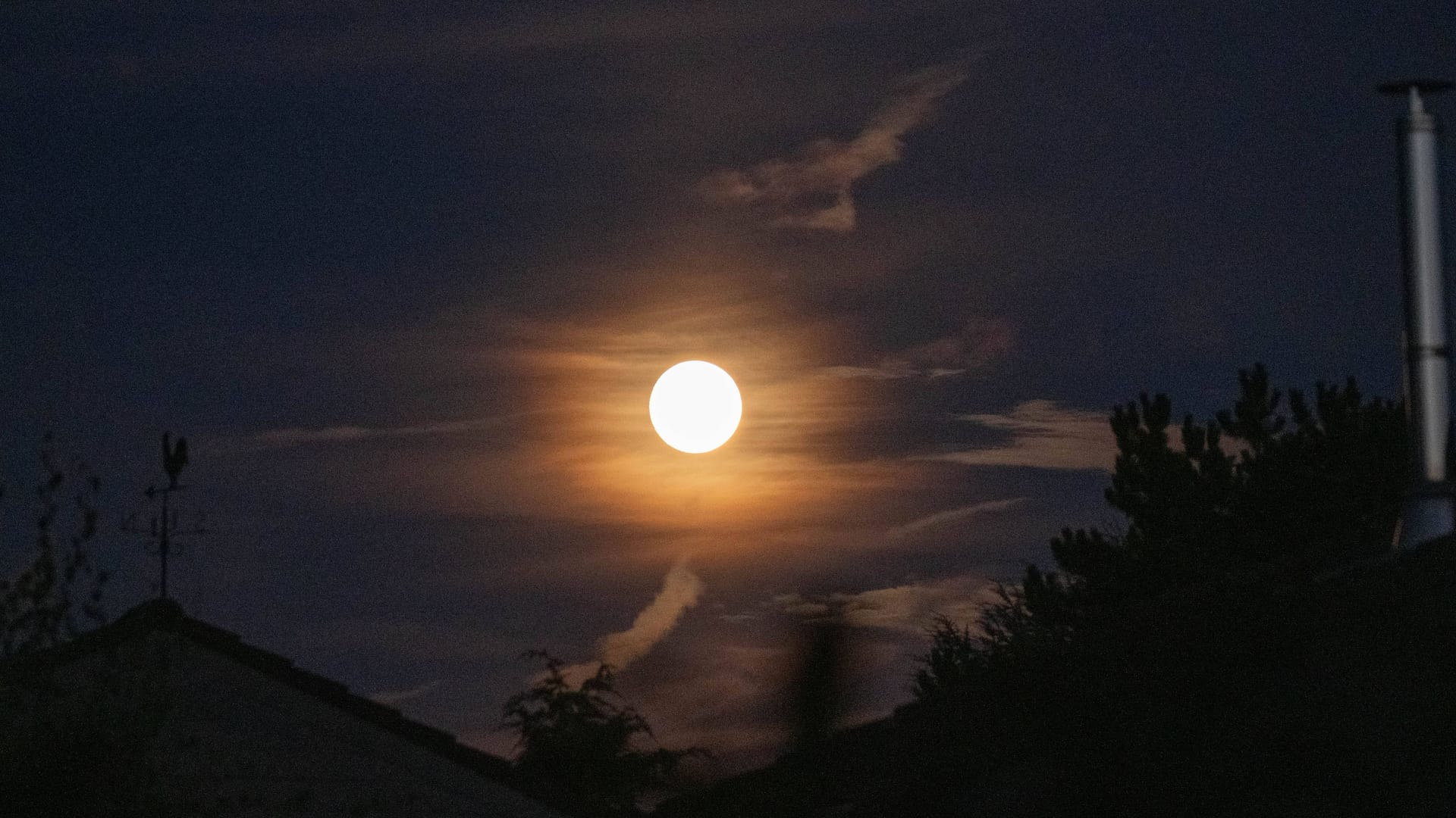 imago images 0833677122