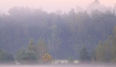 Auf Nebel folgt heiteres Wetter in Berlin und Brandenburg