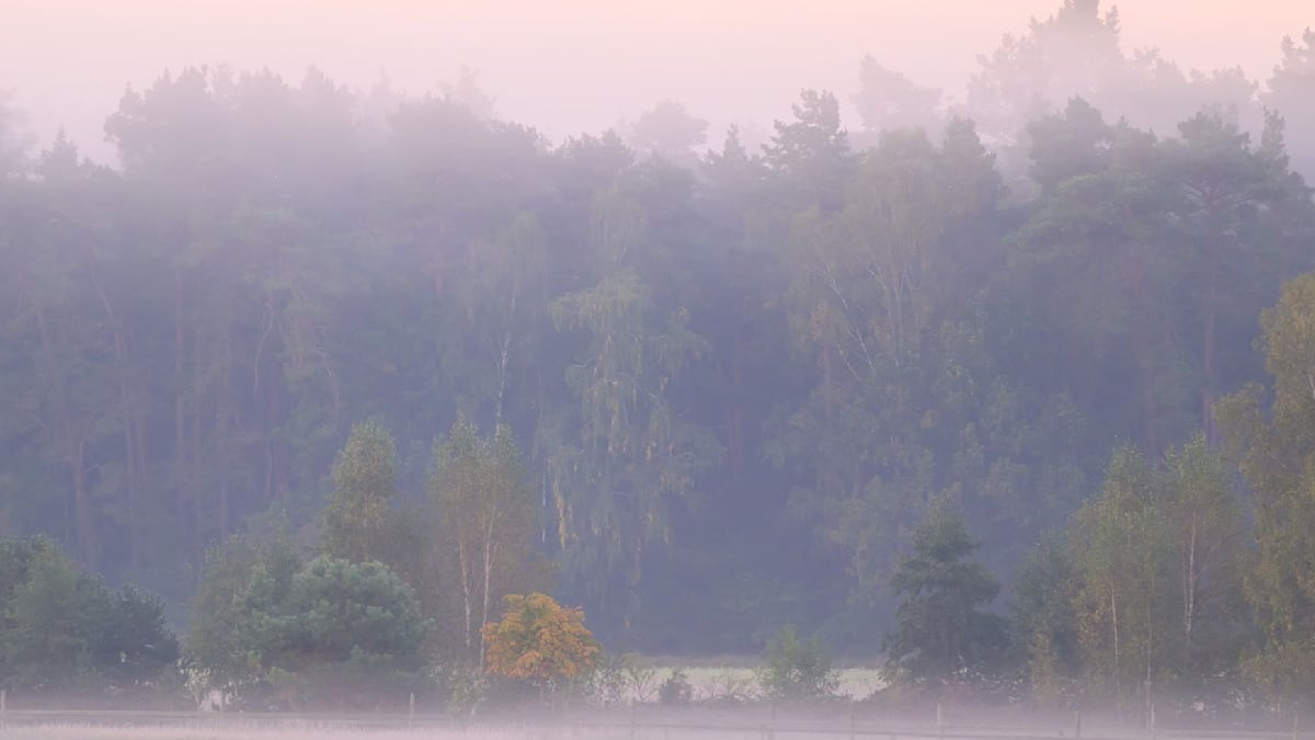 Auf Nebel folgt heiteres Wetter in Berlin und Brandenburg