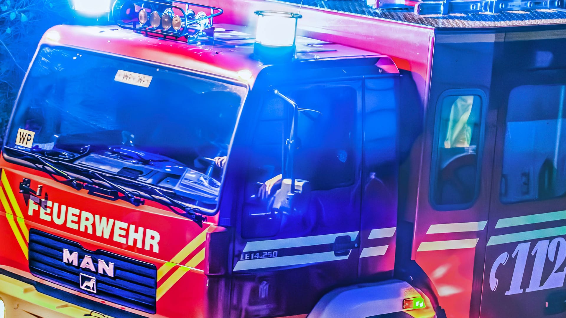 imago images 0840152798