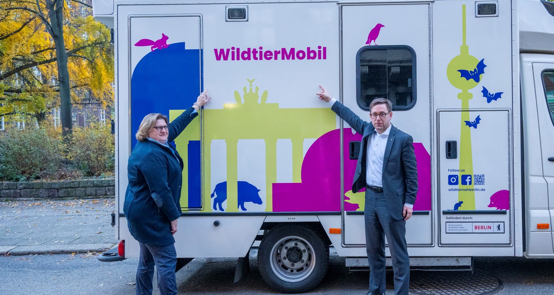 „Wildtiernah Berlin“: Neue Initiative vernetzt und stärkt Wildtierschutz