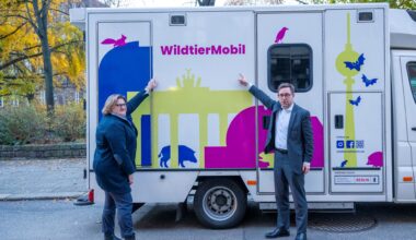 „Wildtiernah Berlin“: Neue Initiative vernetzt und stärkt Wildtierschutz