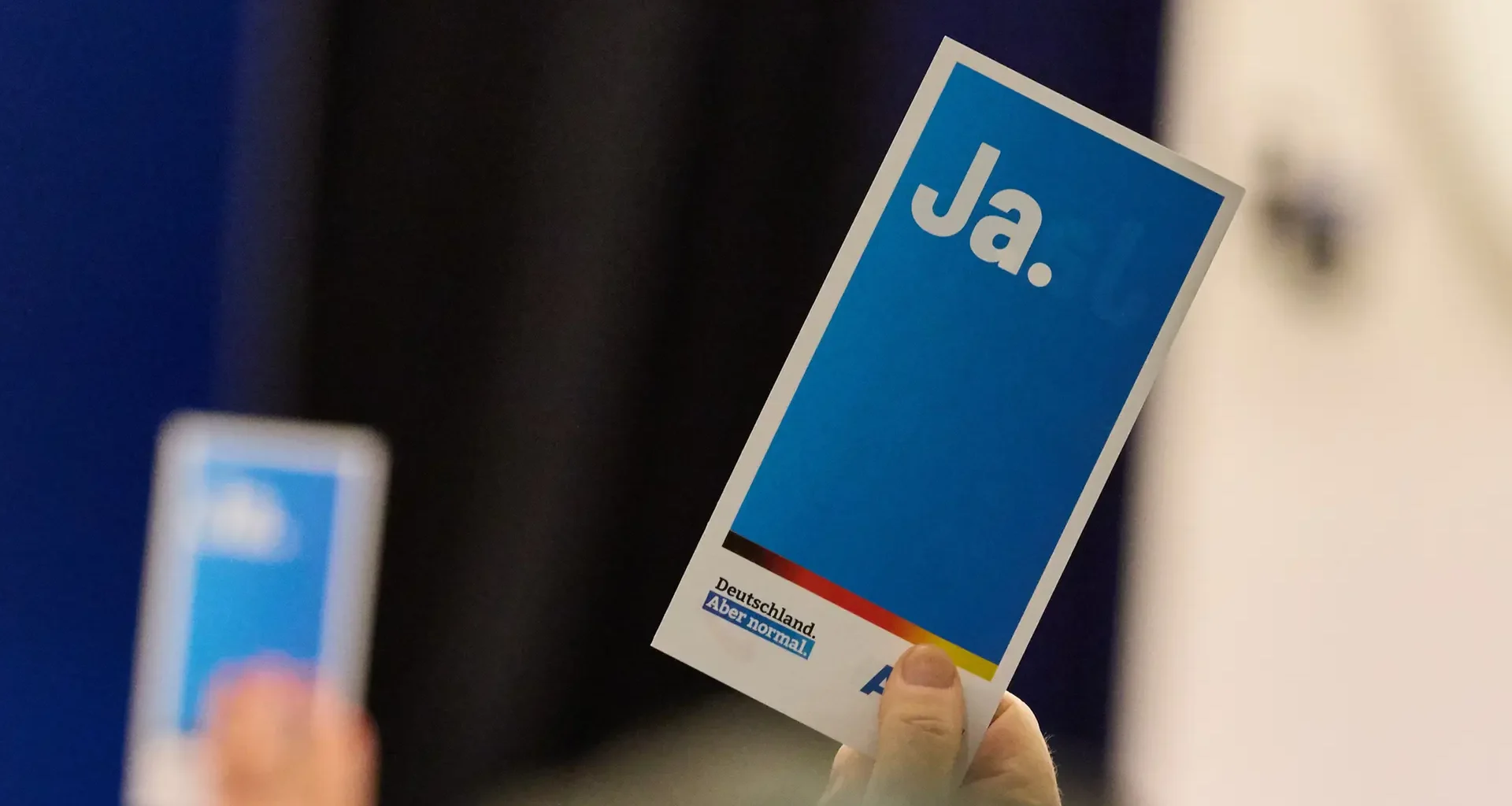 AfD-Parteitag in Wandsbek: Nockemann bleibt Landeschef