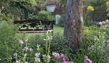Kleingartenanlage in Sendenhorst mit Gold ausgezeichnet