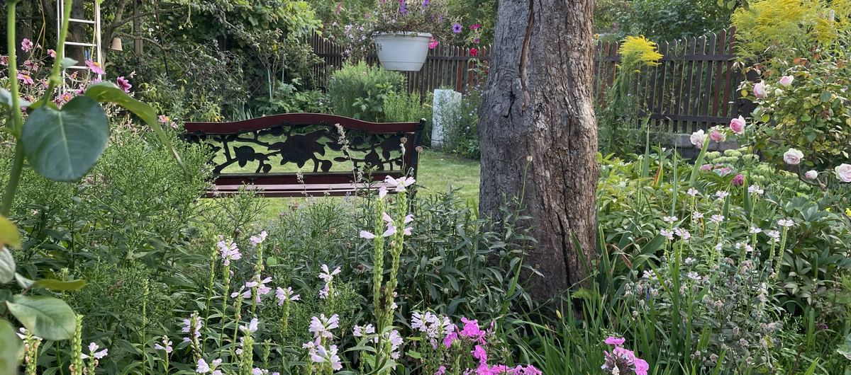 Kleingartenanlage in Sendenhorst mit Gold ausgezeichnet