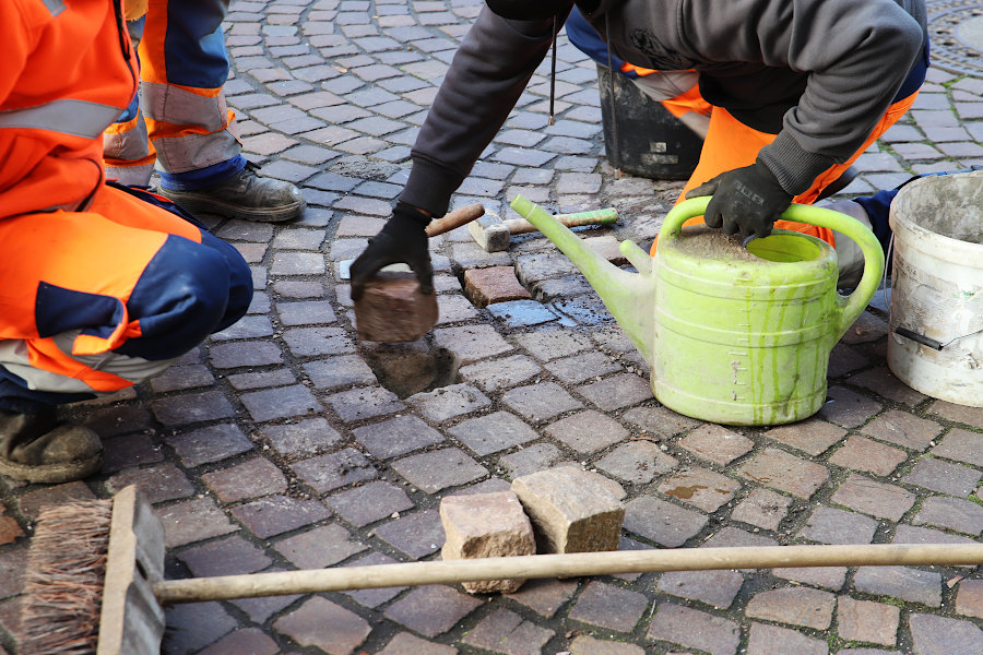 Vollsperrung wegen Anlage einer Musterfläche in der Bienleinstorstraße