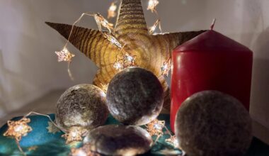 Weihnachtliches Forschen mit dem MINT-Adventskalender für Kitas, Grundschulen, Offene Ganztagsschulen und die ganze Familie