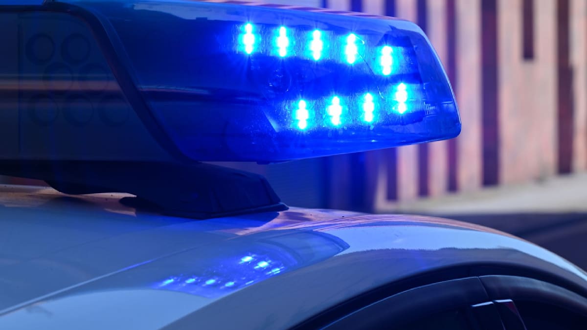 Razzia in Brandenburg: Waffen und Drogen entdeckt