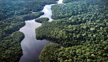 Klimaforschungszentrum im Amazonas