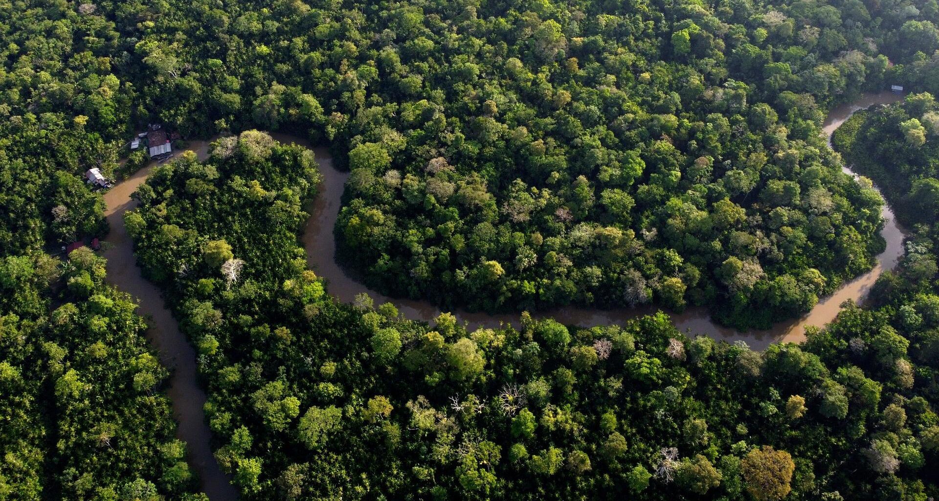 Eine Naturaufnahme aus der Vogelperspektive: Ein Fluss schlängelt sich durch einen Wald. Der Wald ist sehr dicht, es ist ein tropischer Regenwald.