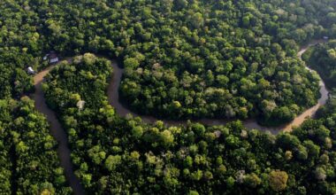 Eine Naturaufnahme aus der Vogelperspektive: Ein Fluss schlängelt sich durch einen Wald. Der Wald ist sehr dicht, es ist ein tropischer Regenwald.