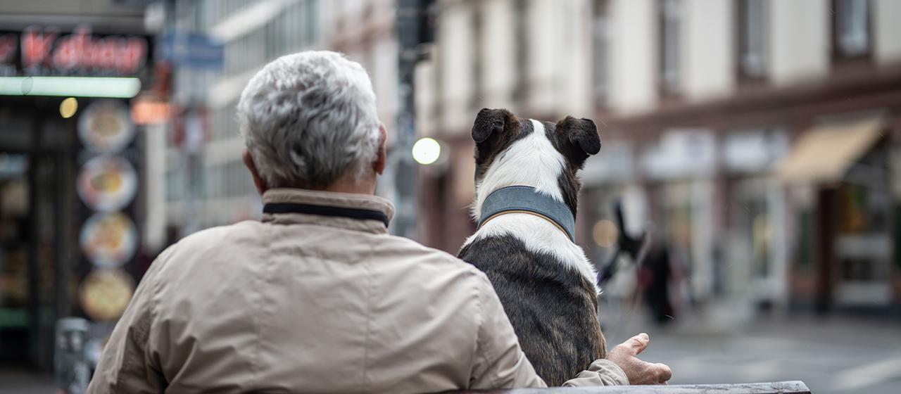Ein Mann mit weißem Haar und ein Hund sitzen gemeinsam auf einer Bank.