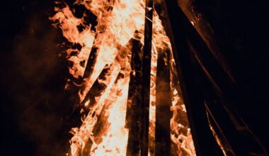 Bonn: Martinsumzug mit großem Feuer