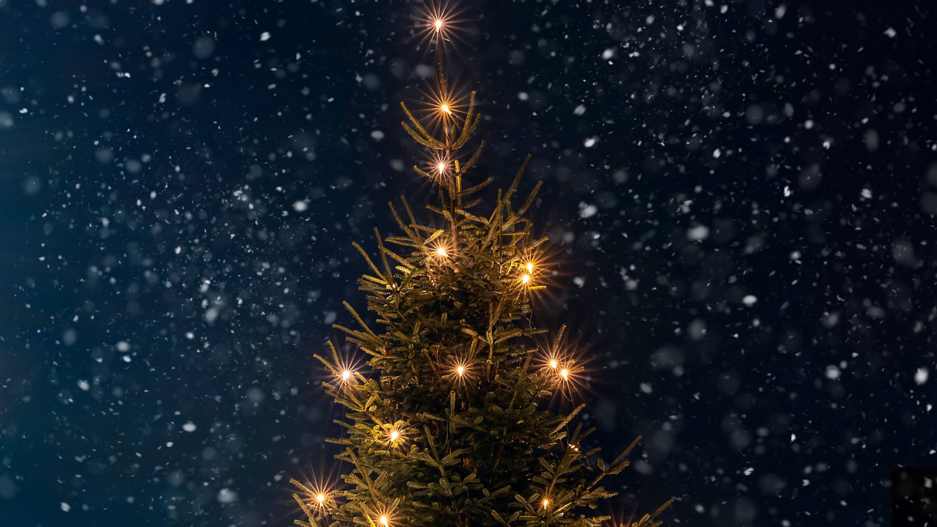 Schnee zu Weihnachten wünschen sich Millionen von Menschen. In Deutschland ist ein weißes Weihnachtsfest allerdings rar geworden. Schnee zu Weihnachten wünschen sich Millionen von Menschen. In Deutschland ist ein weißes Weihnachtsfest allerdings rar geworden.