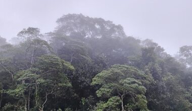 DTS Nachrichtenagentur