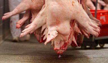 Fleischcenter Perleberg steht vor Schließung