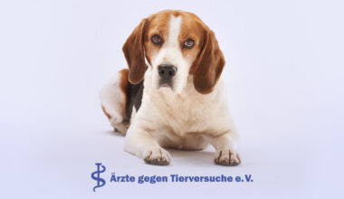 Infostand auf Tierärztekongress – Ärzte gegen Tierversuche
