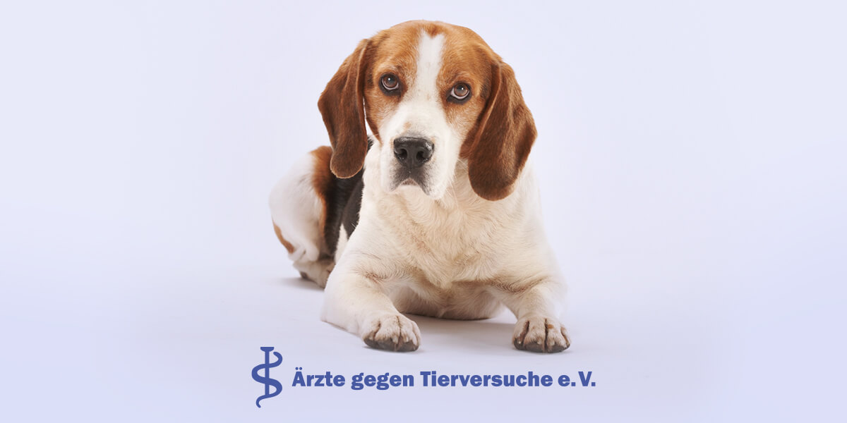 Infostand auf Tierärztekongress – Ärzte gegen Tierversuche