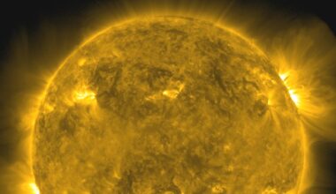 Eine Teleskopaufnahme zeigt die Sonne und Aktivitäten in ihrer Atmosphäre in Großaufnahme.