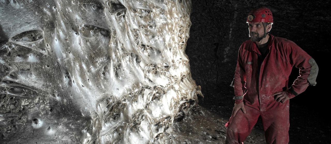 Ein Wissenschaftler in einer Höhle neben einem riesigen Spinnennetz | dpa Ein Wissenschaftler in einer Höhle neben einem riesigen Spinnennetz