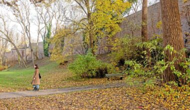 Die Stadtmauer an der Thommstraße lädt zum Herbstspaziergang ein