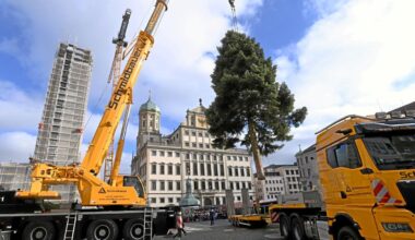 Der Christbaum des Augsburger Christkindlmarkts kommt 2025 aus Gessertshausen