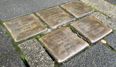 25 neue Stolpersteine in Köln verlegt