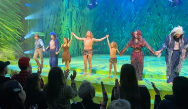 "Tarzan" fliegt wieder: Gefeiertes Comeback an der Elbe