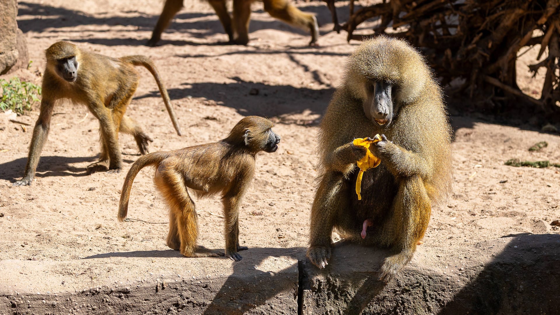 imago images 0830881640 imago images 0830881640