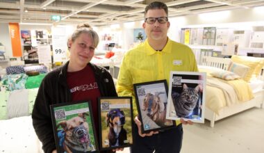 Darum stehen jetzt Fotos von Tierheim-Tieren im Bremer Ikea