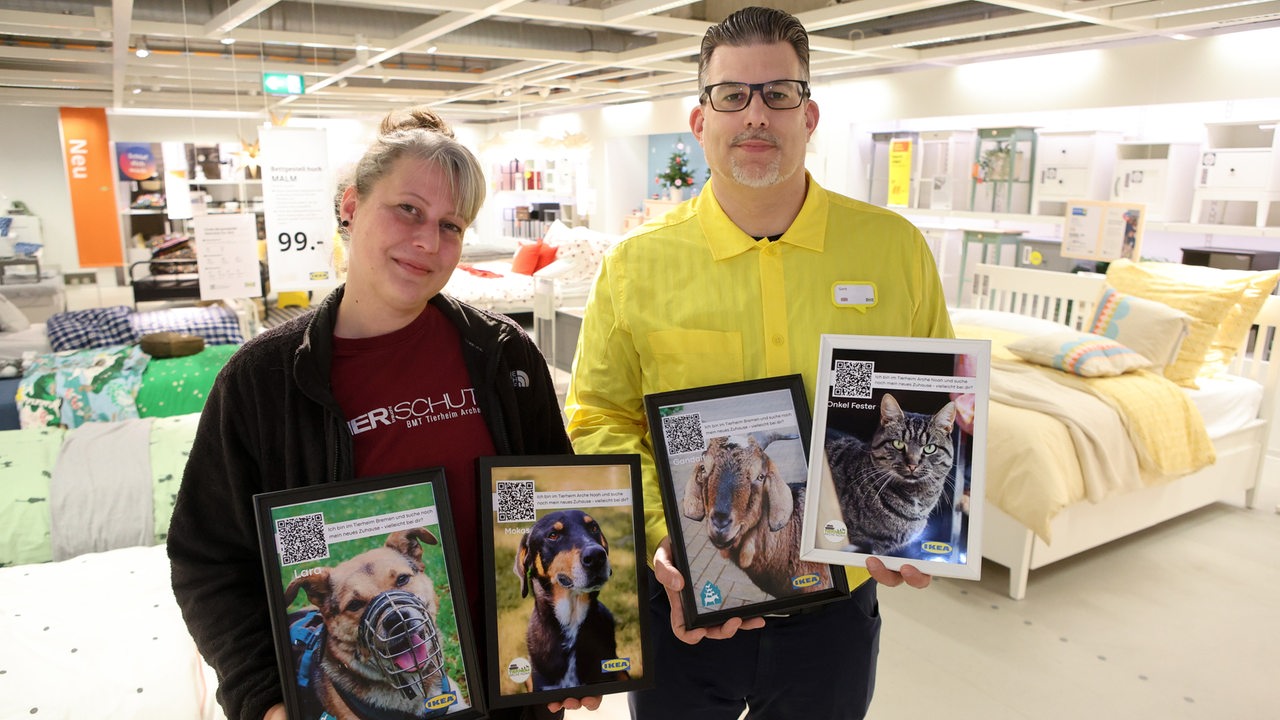 Darum stehen jetzt Fotos von Tierheim-Tieren im Bremer Ikea