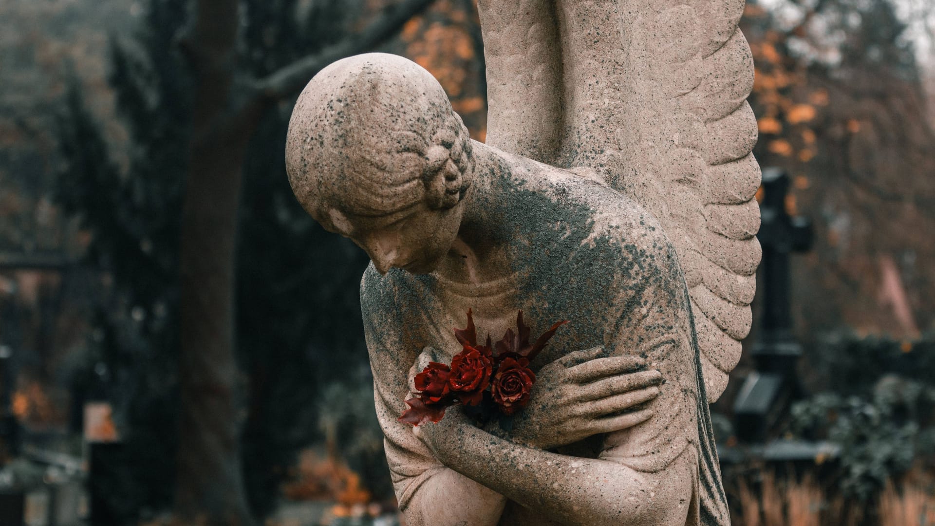 imago images 0840432845 imago images 0840432845