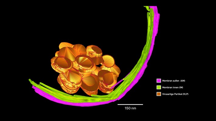 Universität Duisburg-Essen wird für die Universitätsallianz Ruhr NRW-HPC-Standort