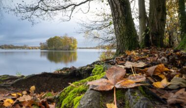 Neuer Weihnachtsmarkt am Unterbacher See!