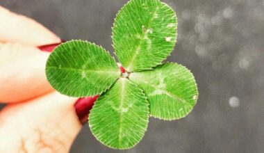 Reise ins Glück – neuer Abendkurs des BRK Augsburg-Stadt