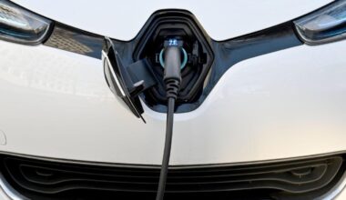 Social Leasing für E-Autos: Frankreich Vorbild für Deutschland?