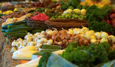 Fortsetzung bis 2029 mit neuen Plänen