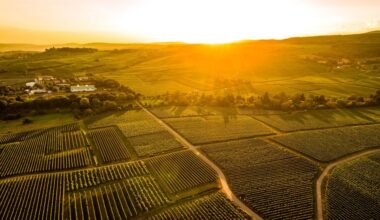 Immer mehr Menschen verlassen Wiesbaden für diese Gegend