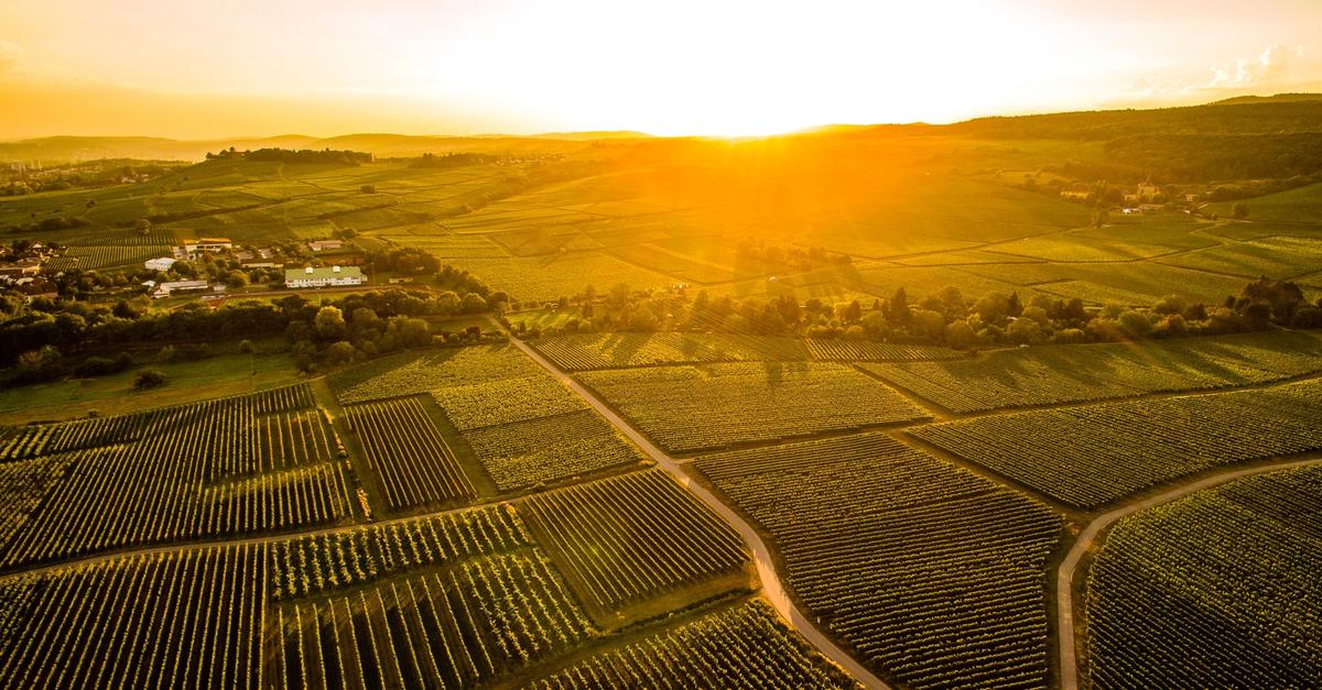 Immer mehr Menschen verlassen Wiesbaden für diese Gegend