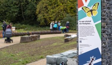 Neue Grünfläche am Bökelberg statt Parkplatz