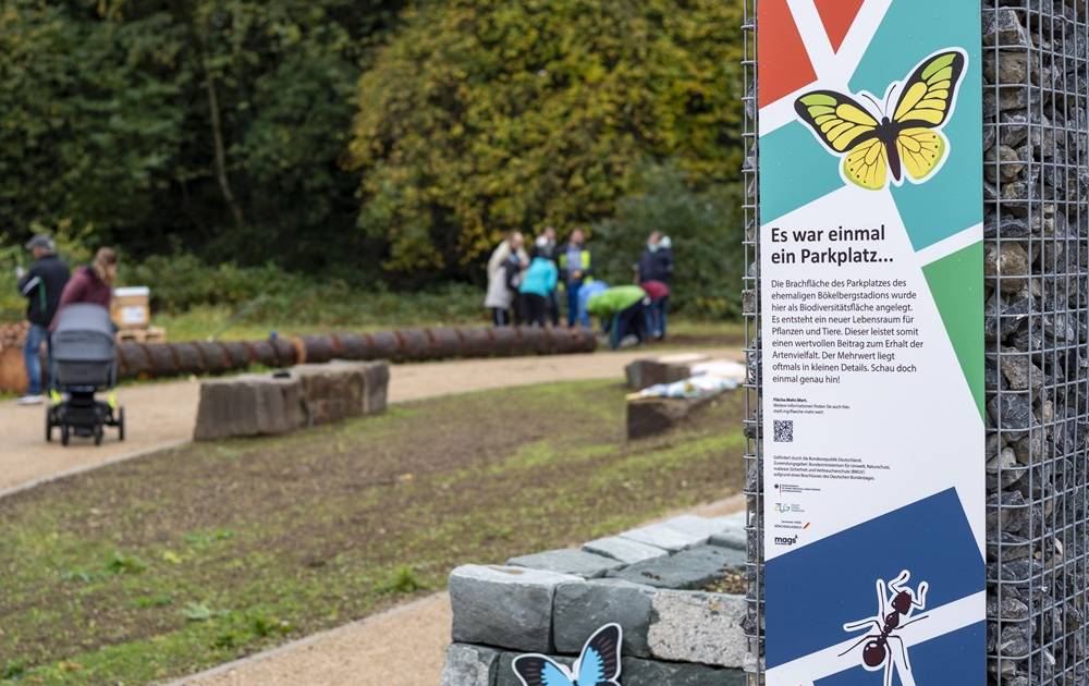 Neue Grünfläche am Bökelberg statt Parkplatz