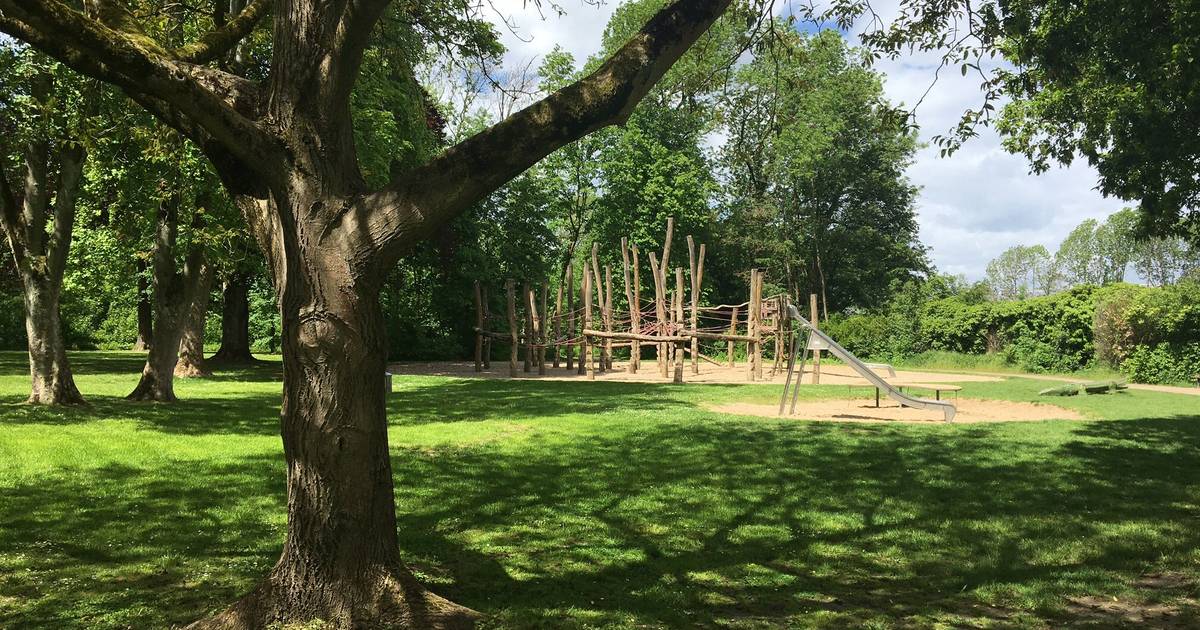Kletterwald im Park Lantz soll schnell repariert werden
