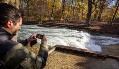 Wie die Eisbachwelle zurückgeholt werden soll