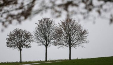 Bonn/Region: Wetter am Wochenende - Regen und mildere Temperaturen