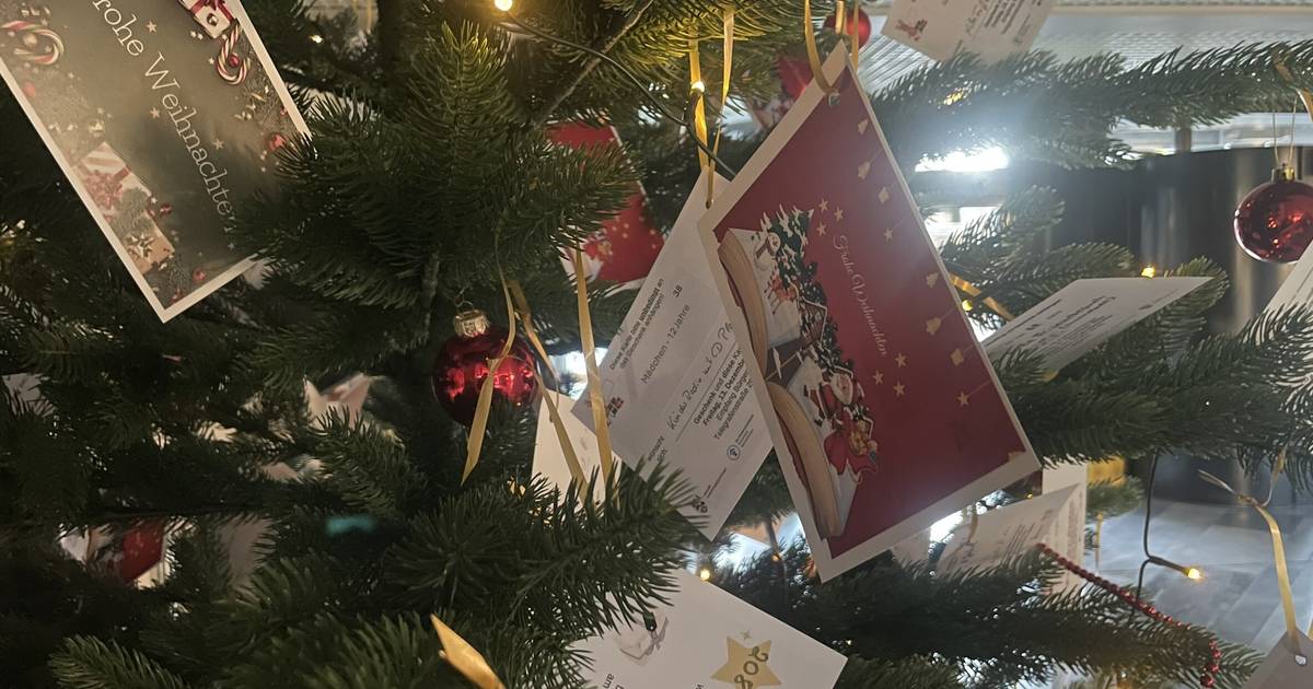 Klartext für Kinder: Weihnachtswunschbaumaktion in Moers startet
