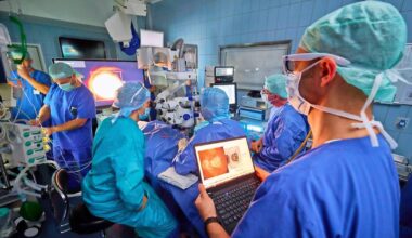 Ein Netzhautchip sorgt für neue Klarheit