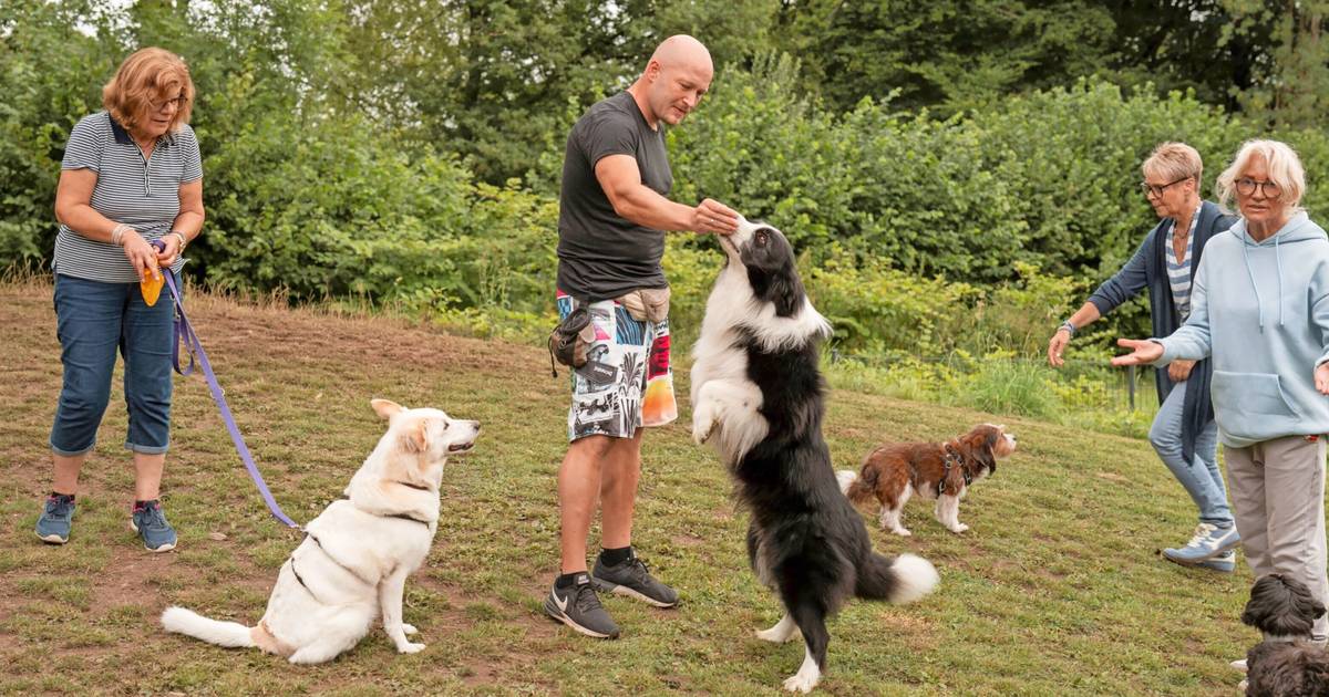 Mit dem Hund in die Reha