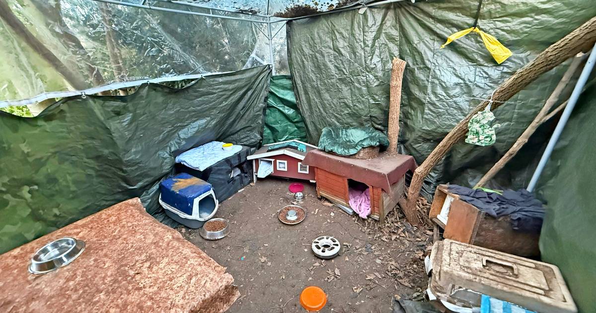 Futterstelle für Katzen in Wuppertal-Barmen vorerst gesichert