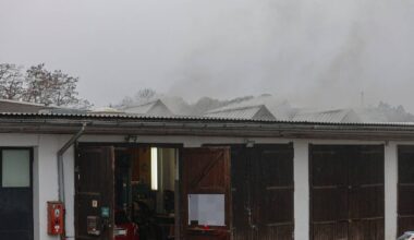 Mehrere Autos durch Brand in Halle beschädigt